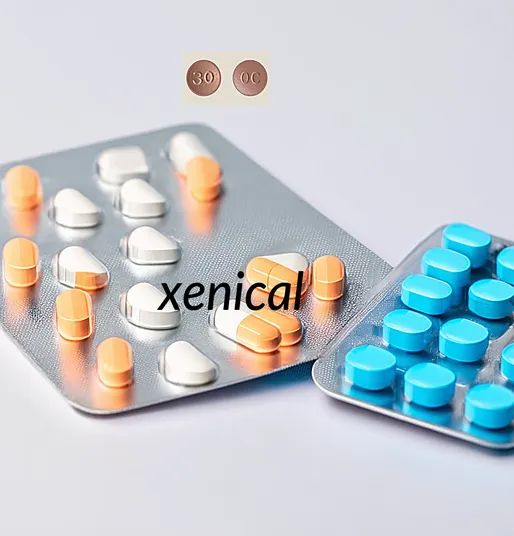 Precio de las pastillas xenical de roche